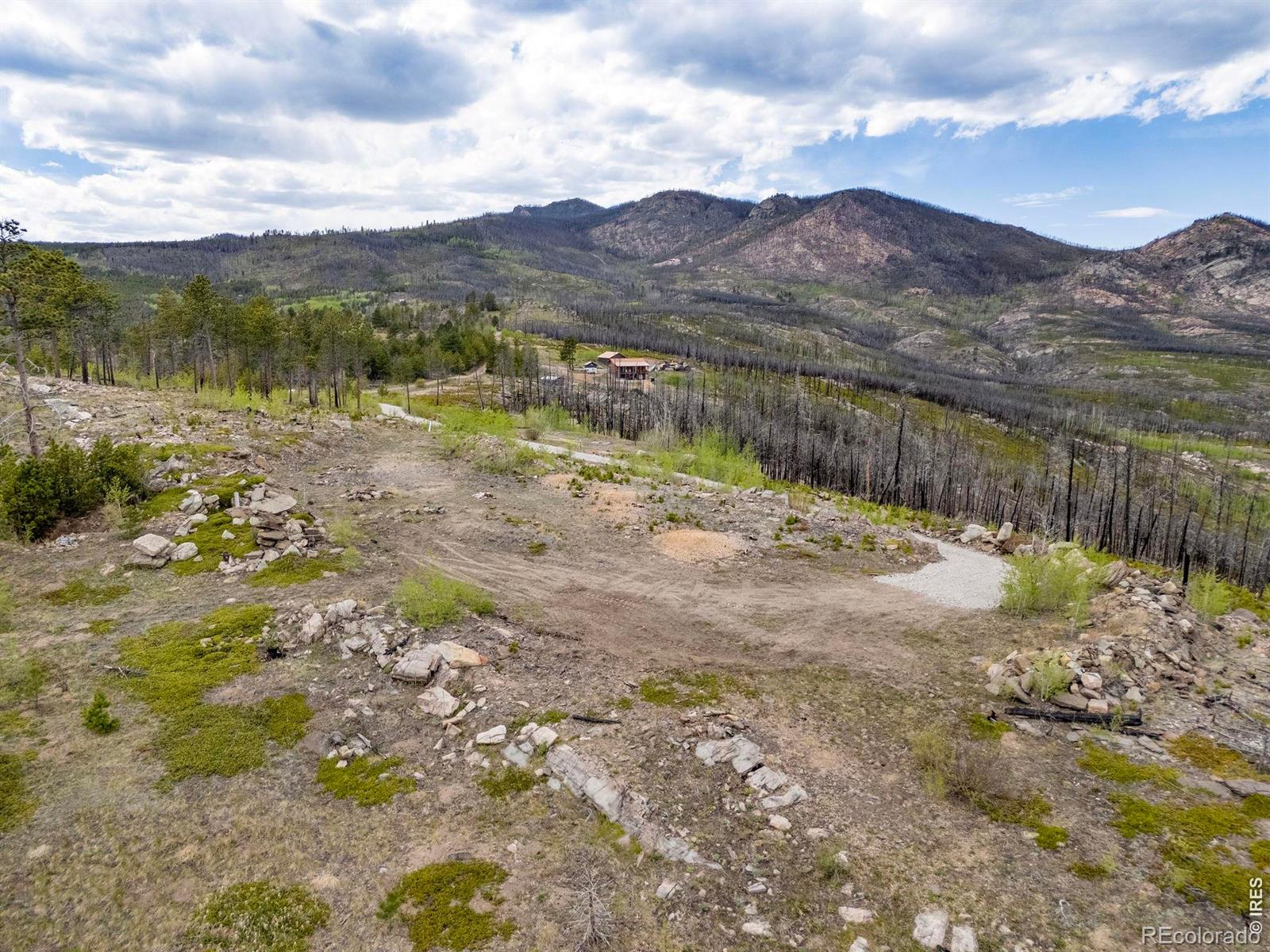805 Meadows Drive Drake CO 80515