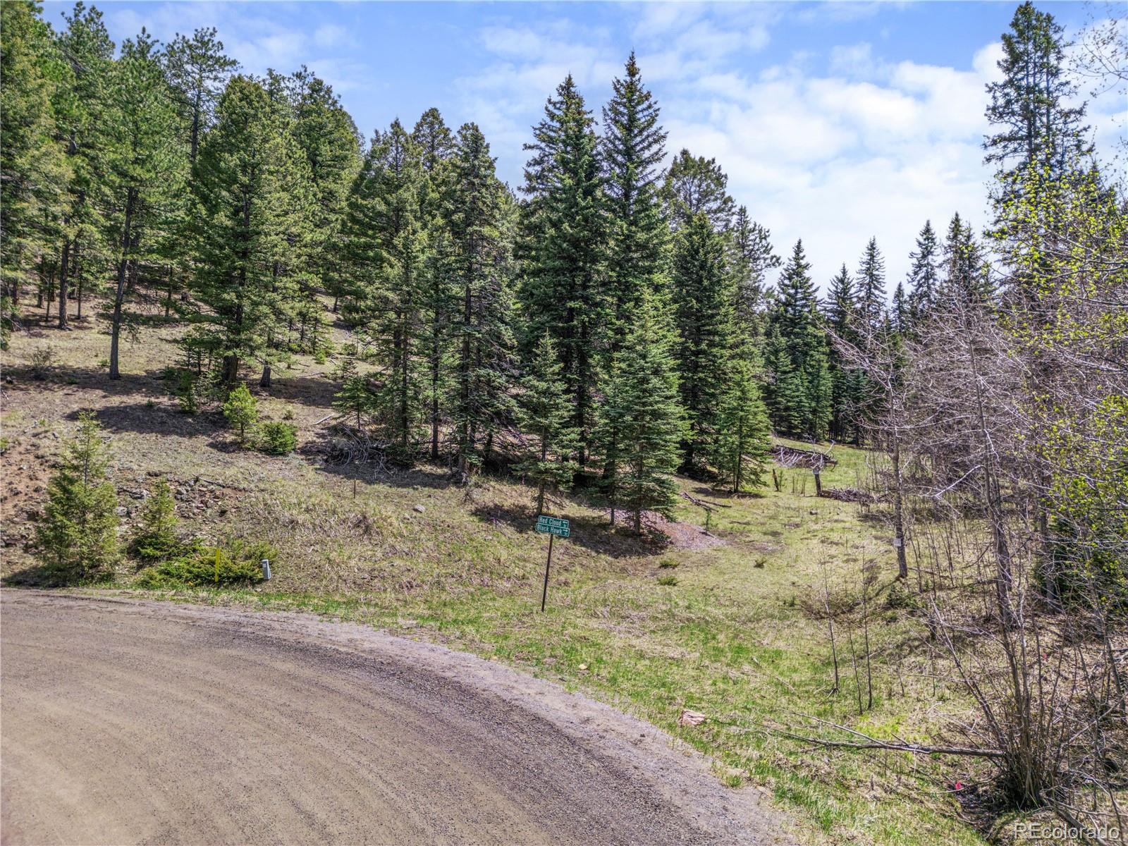 25654 S Black Hawk Trail Conifer CO 80433