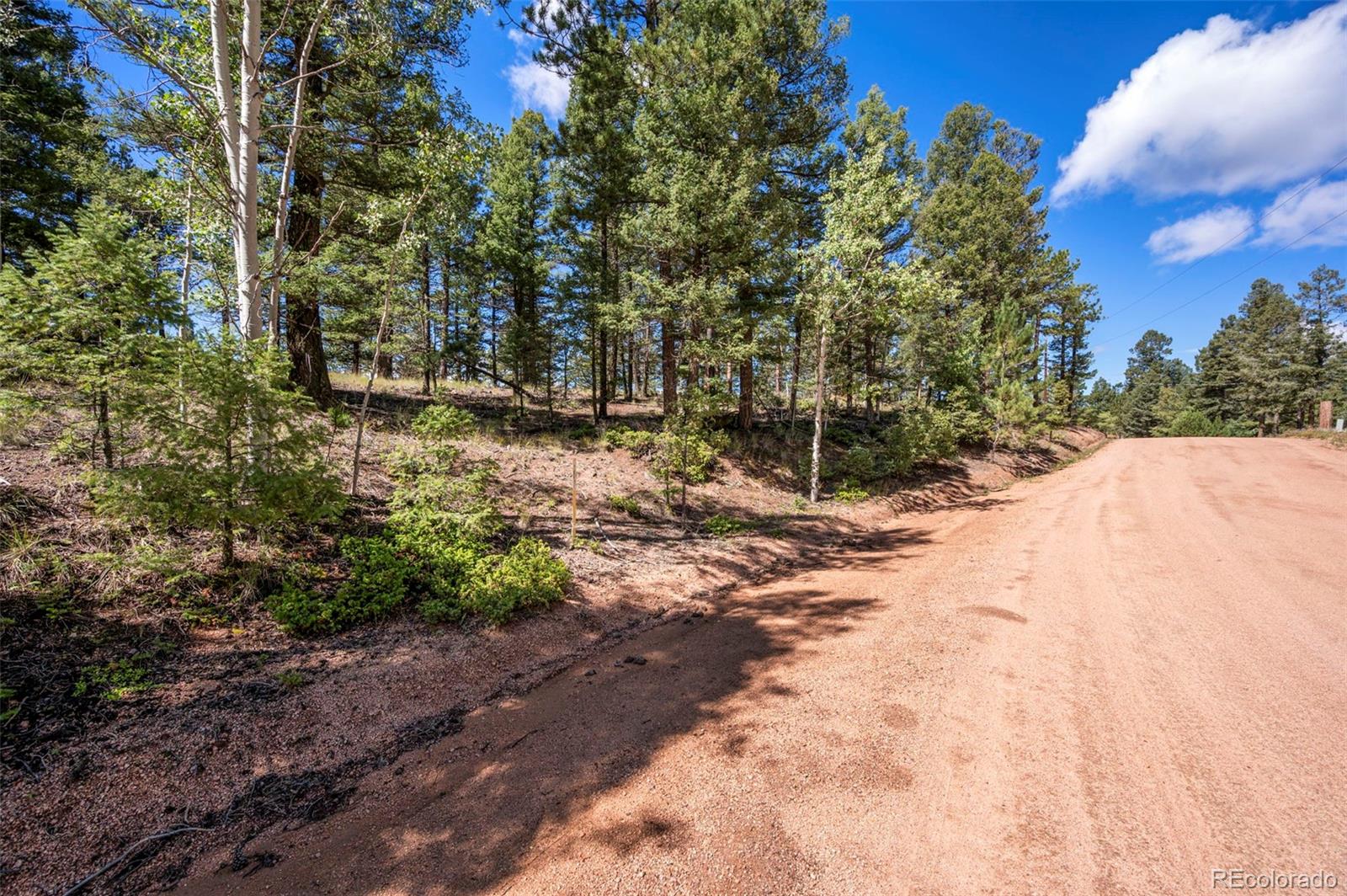 210 Donzi Trail Florissant CO 80816