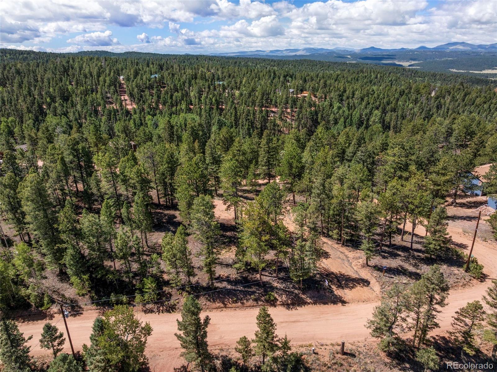 210 Donzi Trail Florissant CO 80816