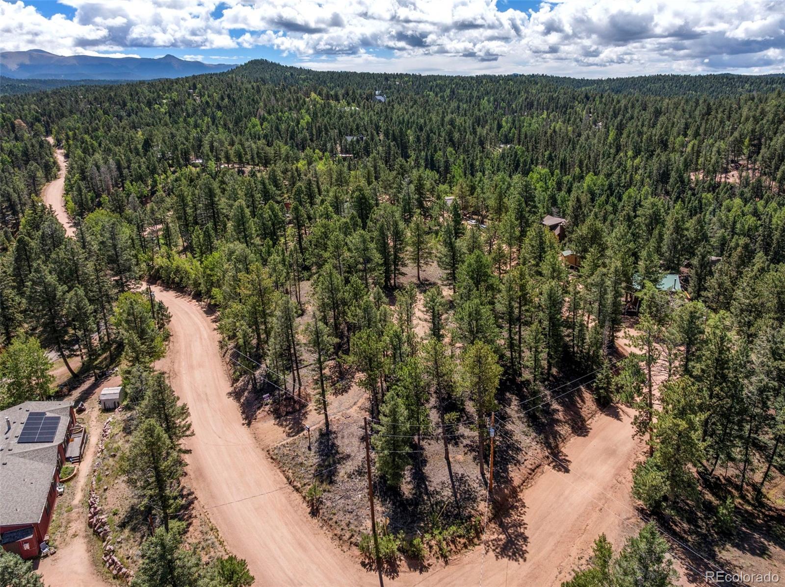 210 Donzi Trail Florissant CO 80816