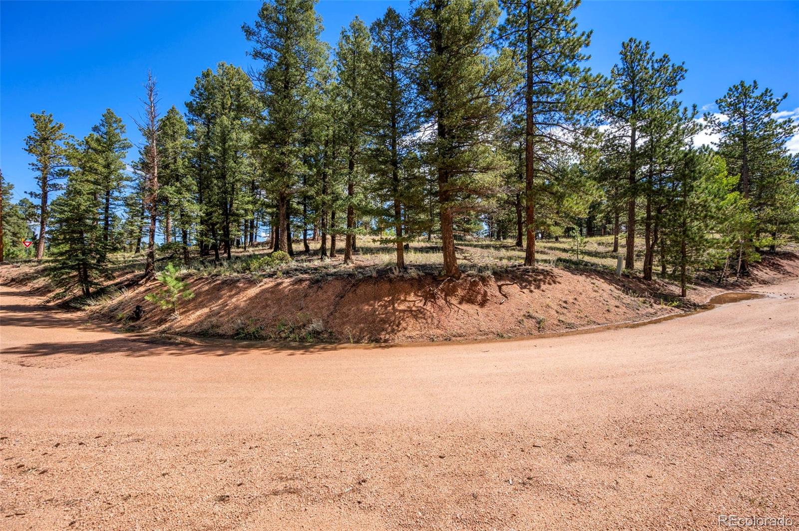 210 Donzi Trail Florissant CO 80816