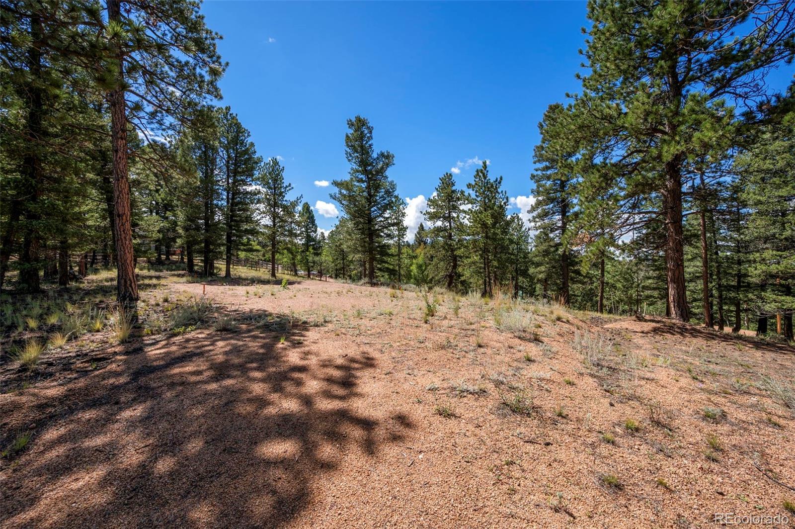 210 Donzi Trail Florissant CO 80816