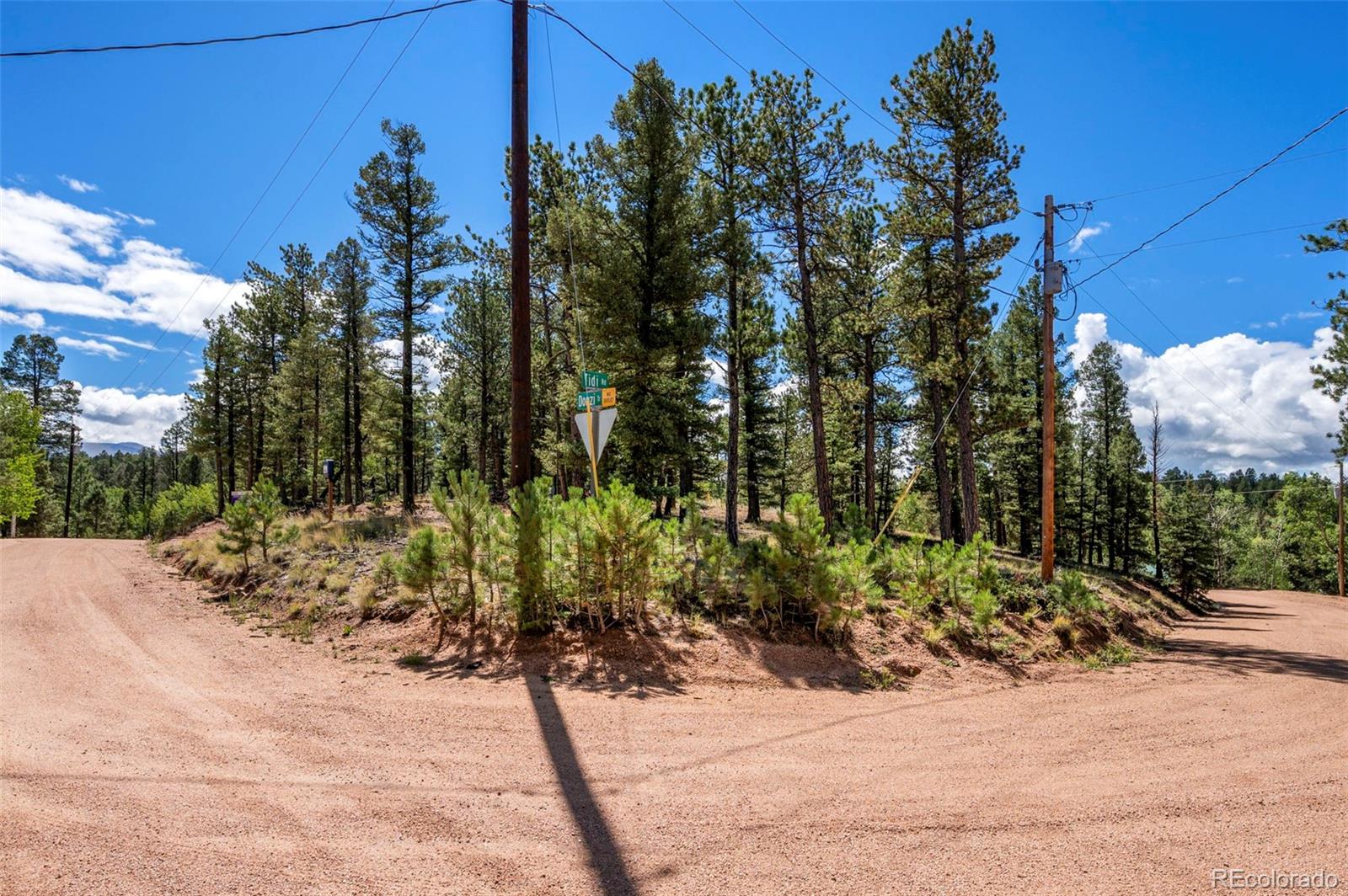 210 Donzi Trail Florissant CO 80816