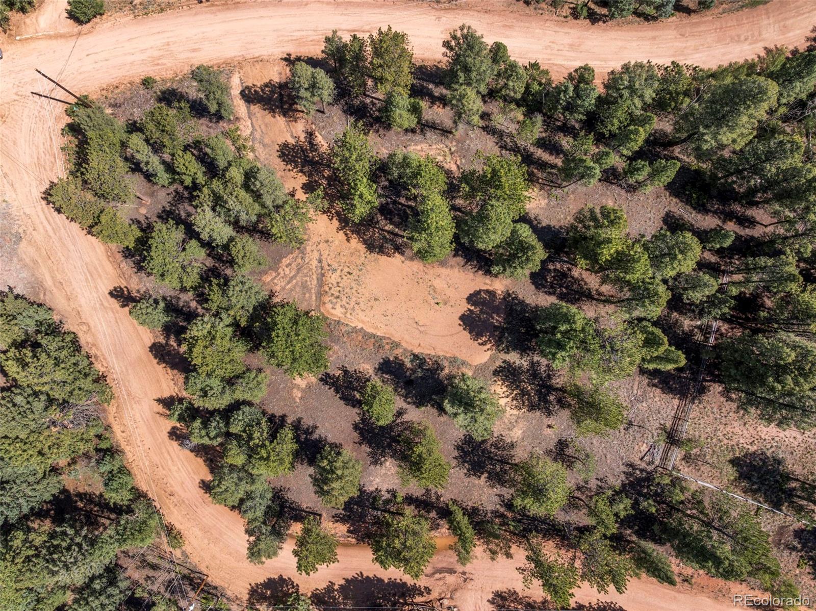 210 Donzi Trail Florissant CO 80816