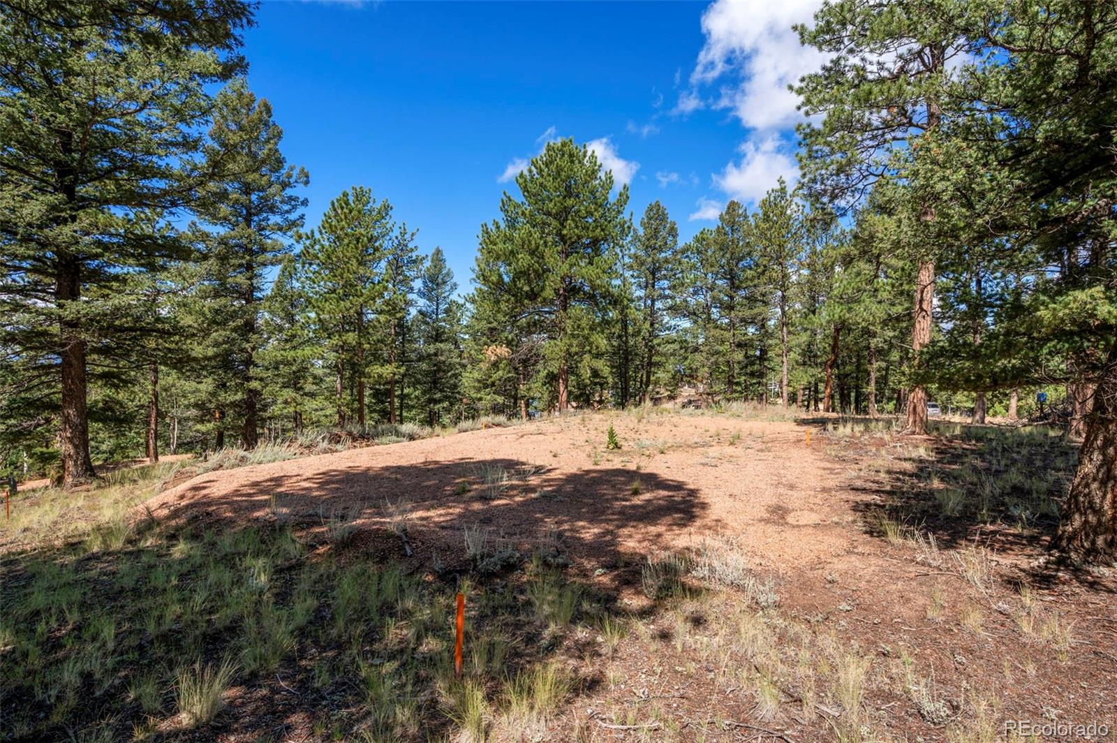 210 Donzi Trail Florissant CO 80816