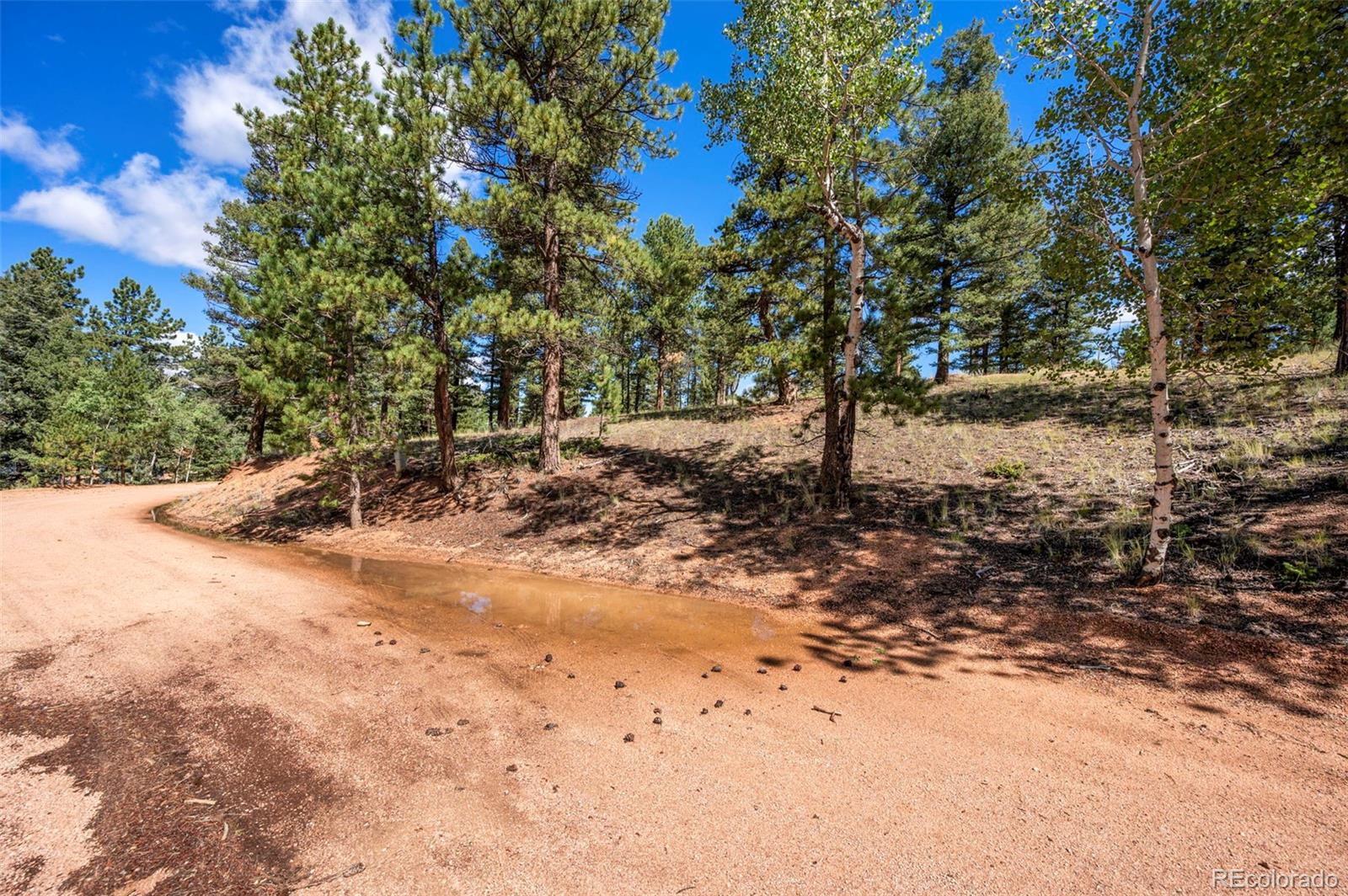 210 Donzi Trail Florissant CO 80816