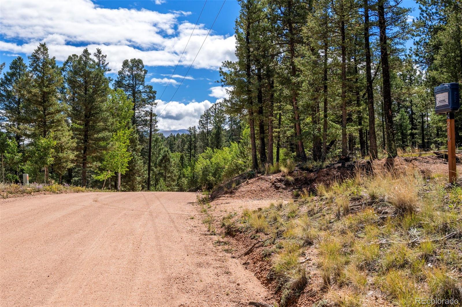 210 Donzi Trail Florissant CO 80816