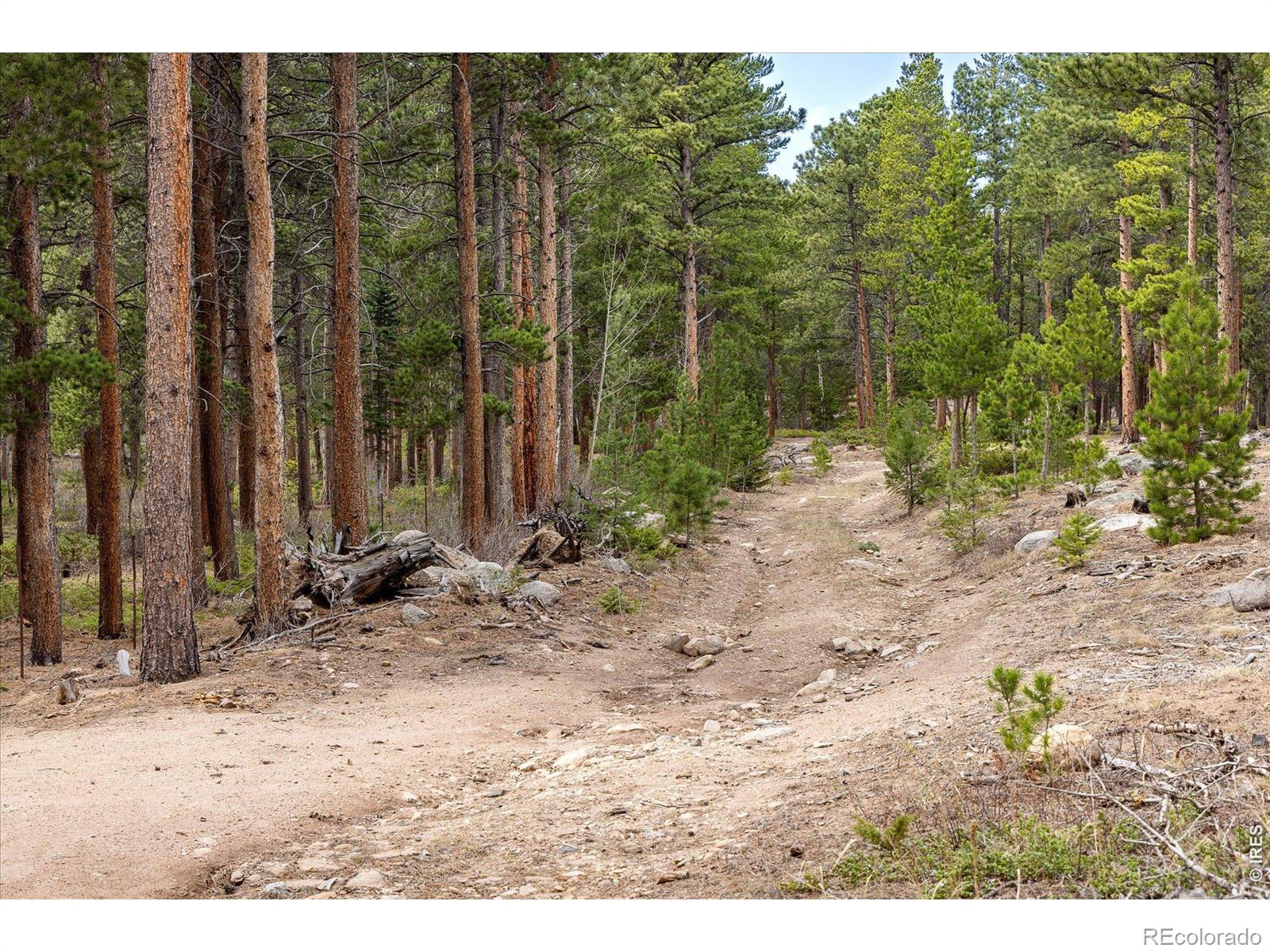 0 1st Street Nederland CO 80466