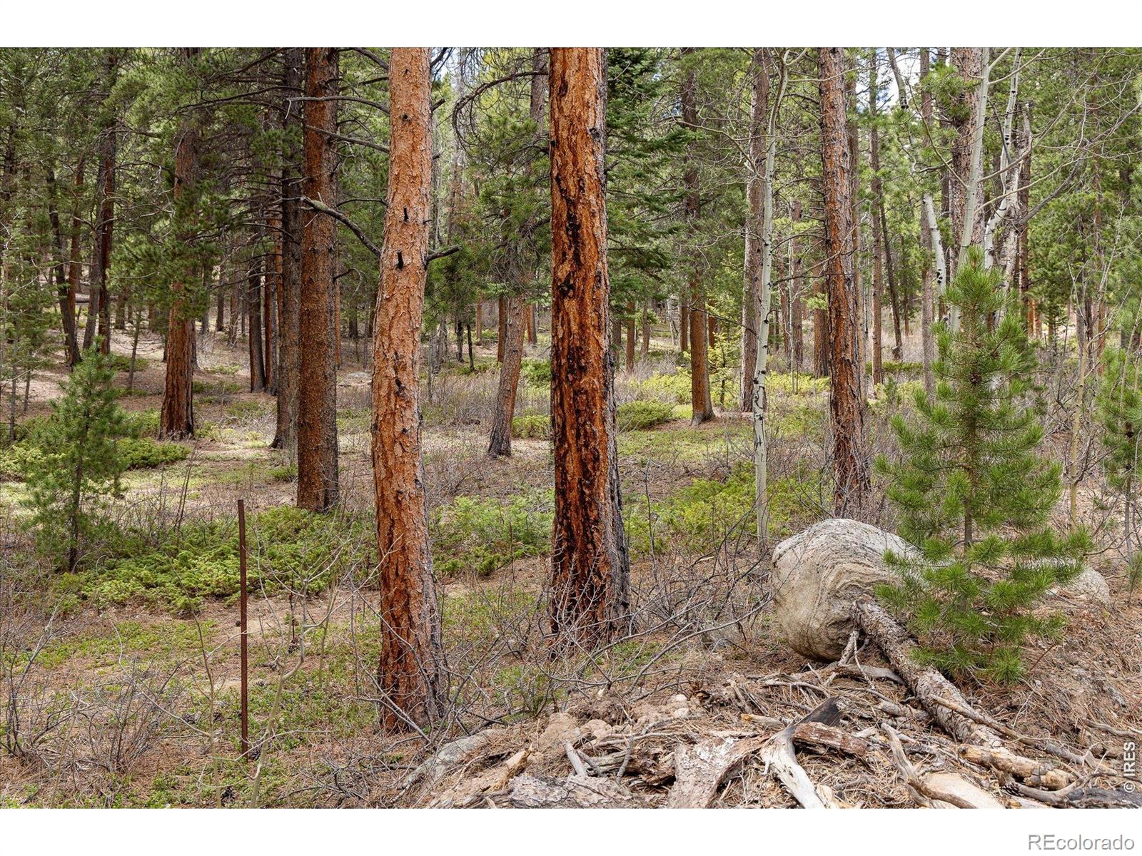 0 1st Street Nederland CO 80466