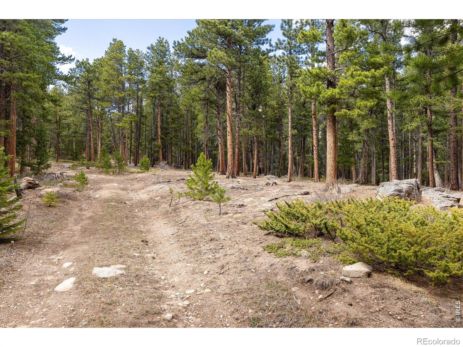 0 1st Street Nederland CO 80466