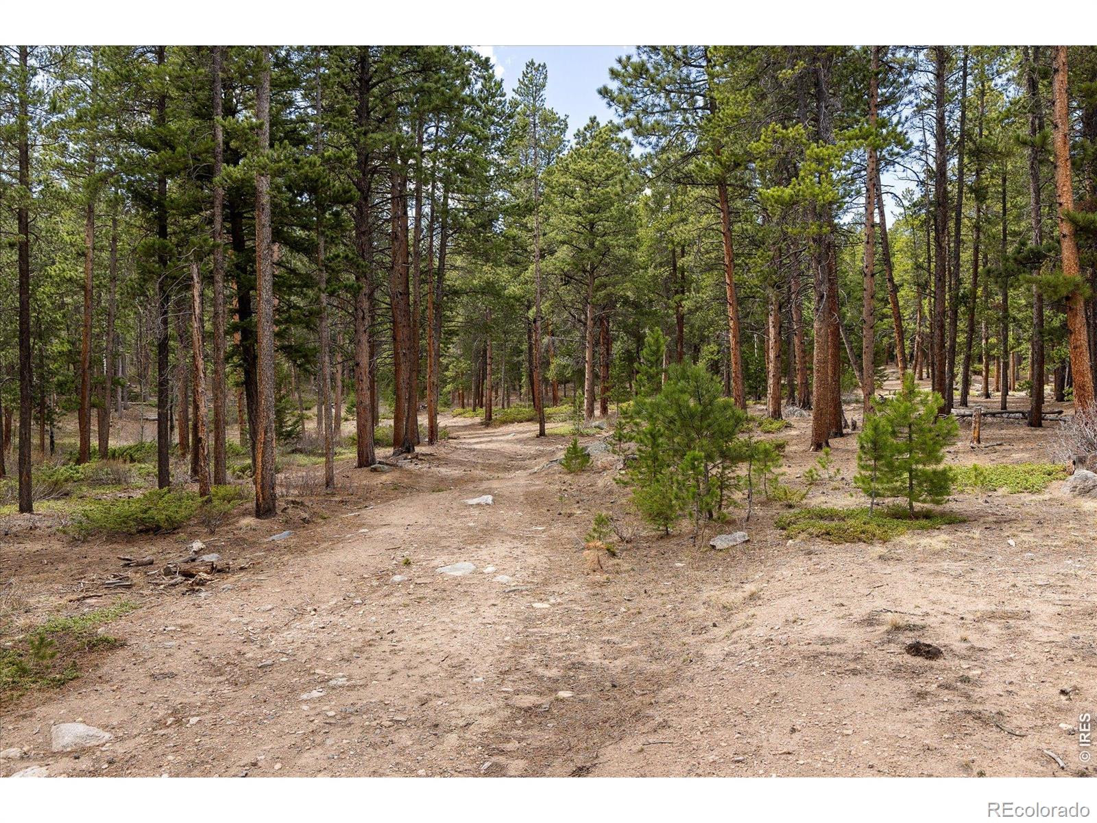 0 1st Street Nederland CO 80466