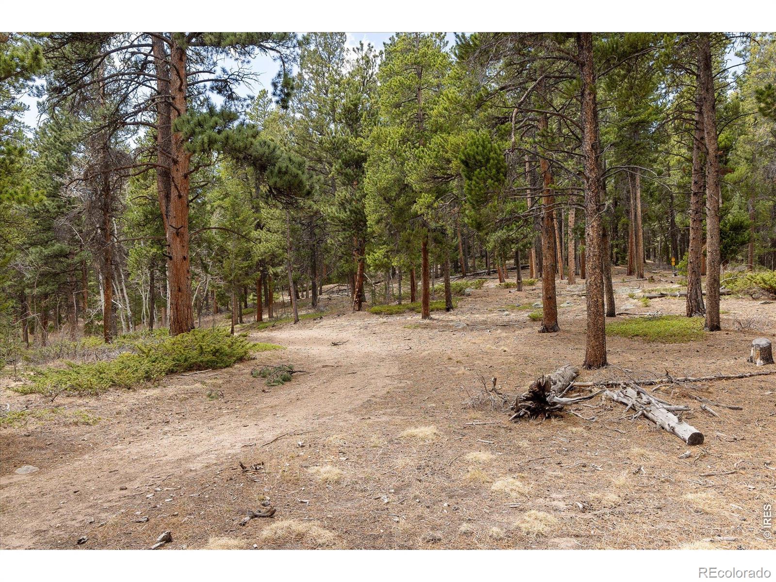 0 1st Street Nederland CO 80466