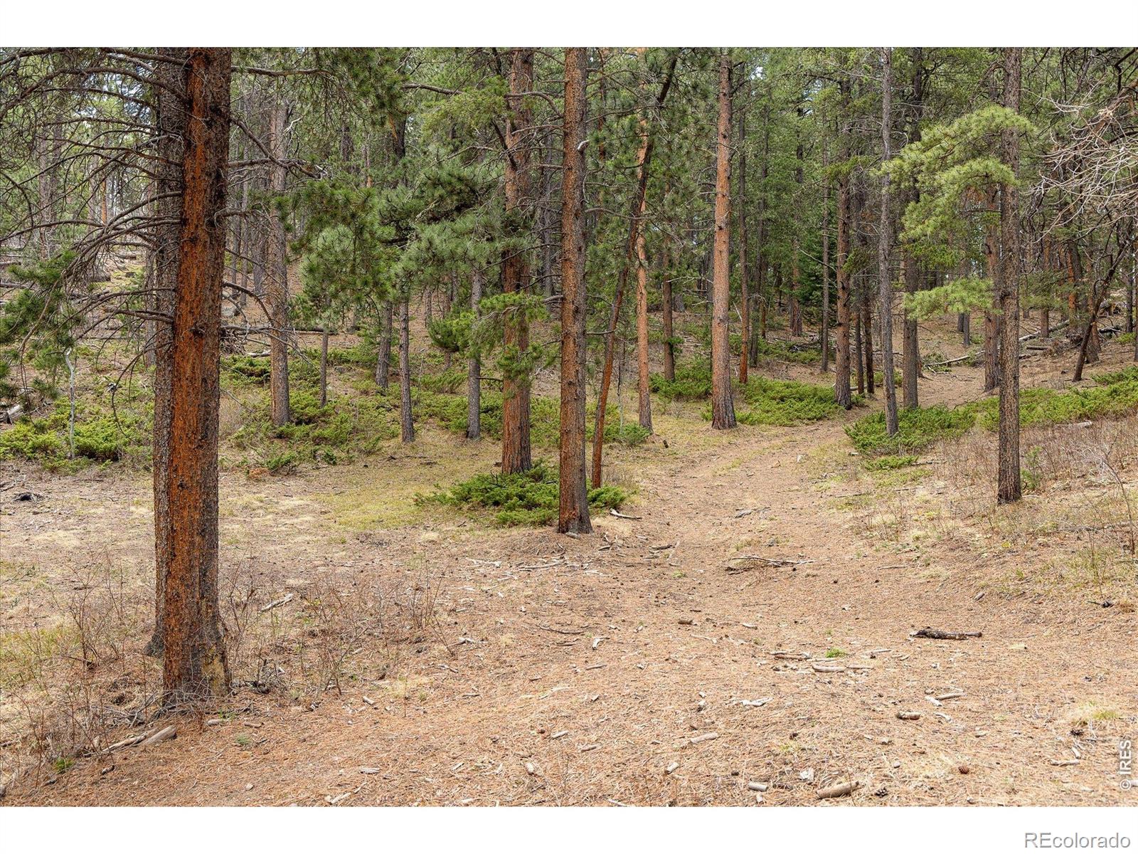 0 1st Street Nederland CO 80466