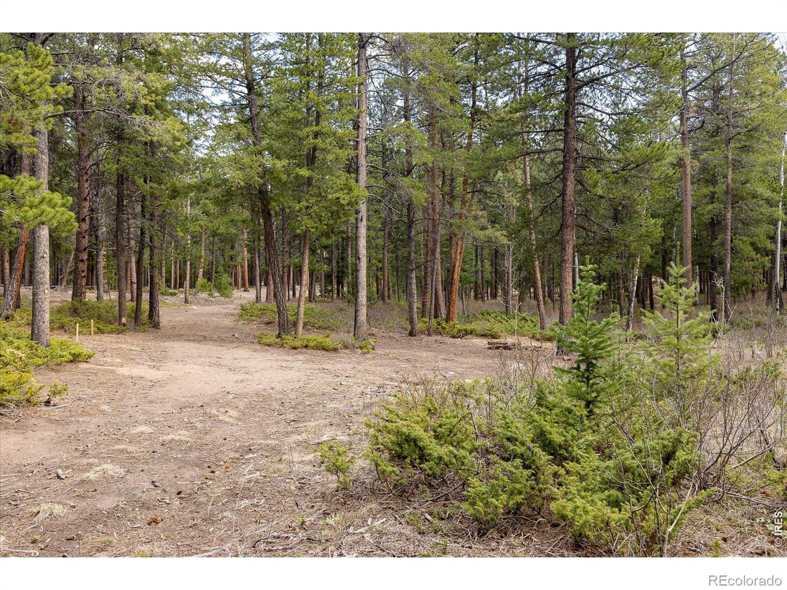 0 1st Street Nederland CO 80466