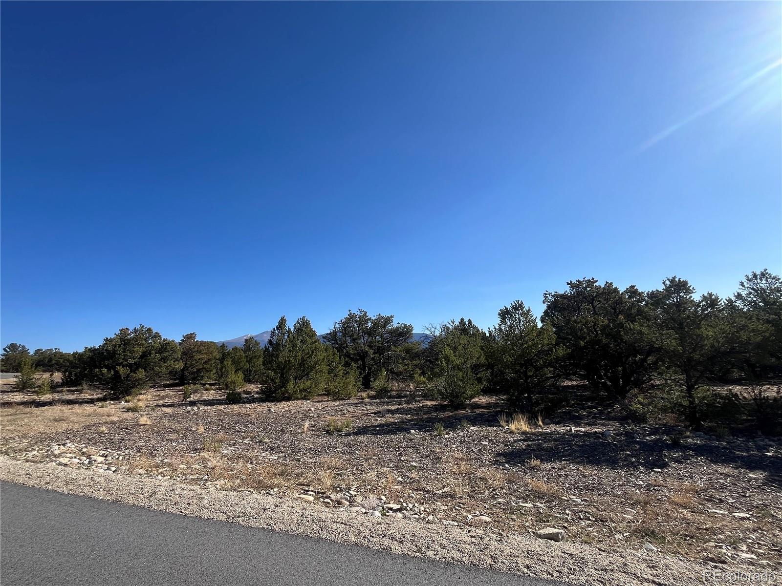 29262 Timber Ridge Buena Vista CO 81211