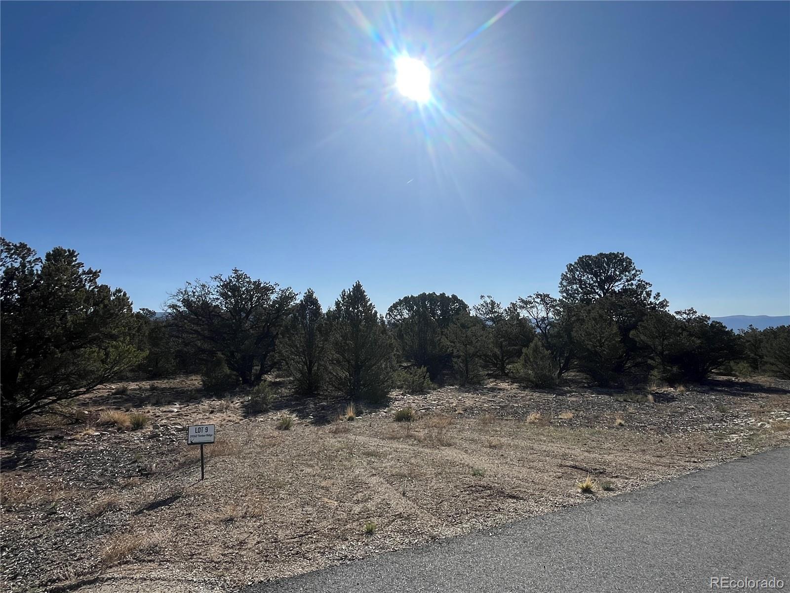 29262 Timber Ridge Buena Vista CO 81211