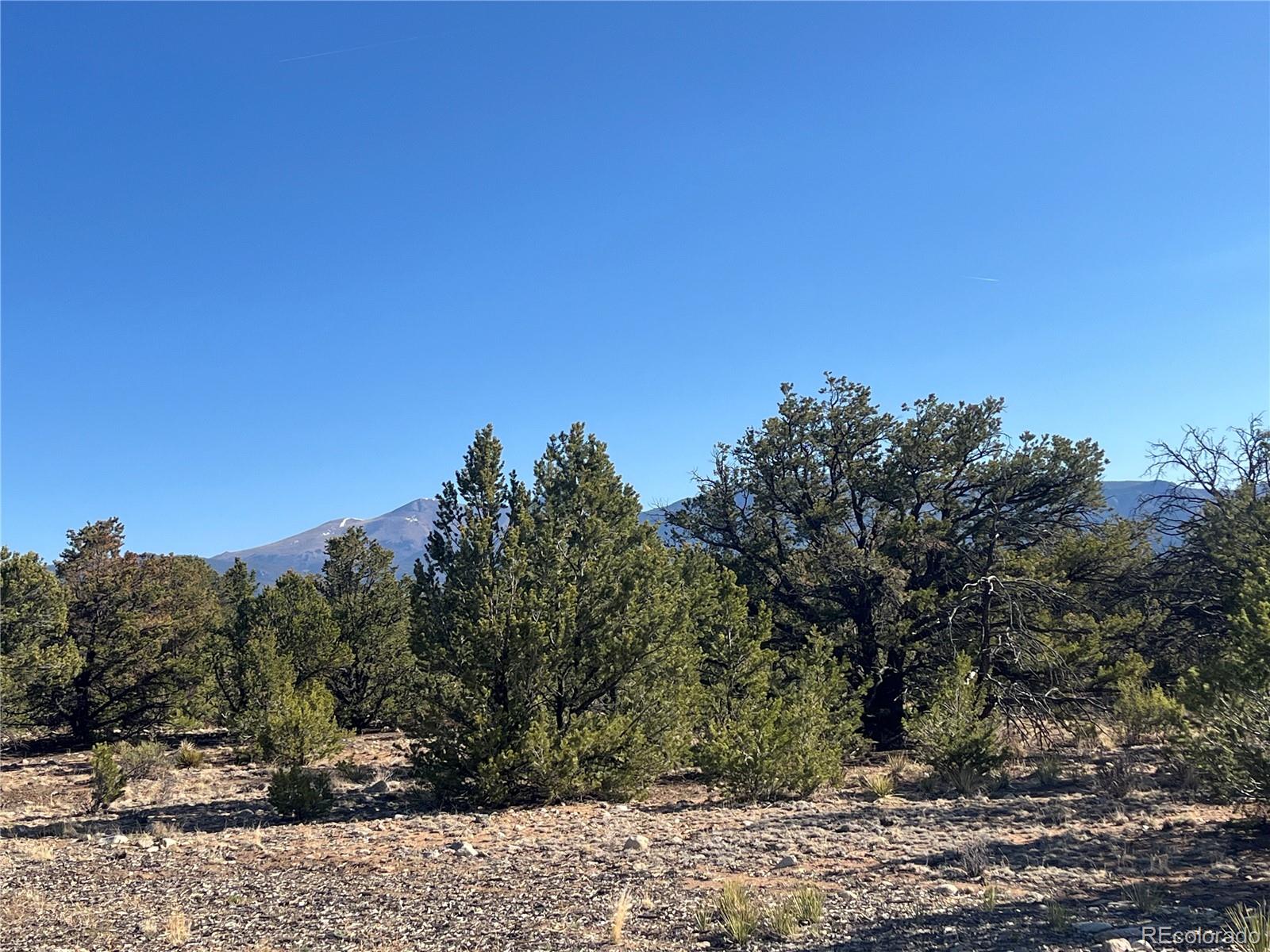 29262 Timber Ridge Buena Vista CO 81211