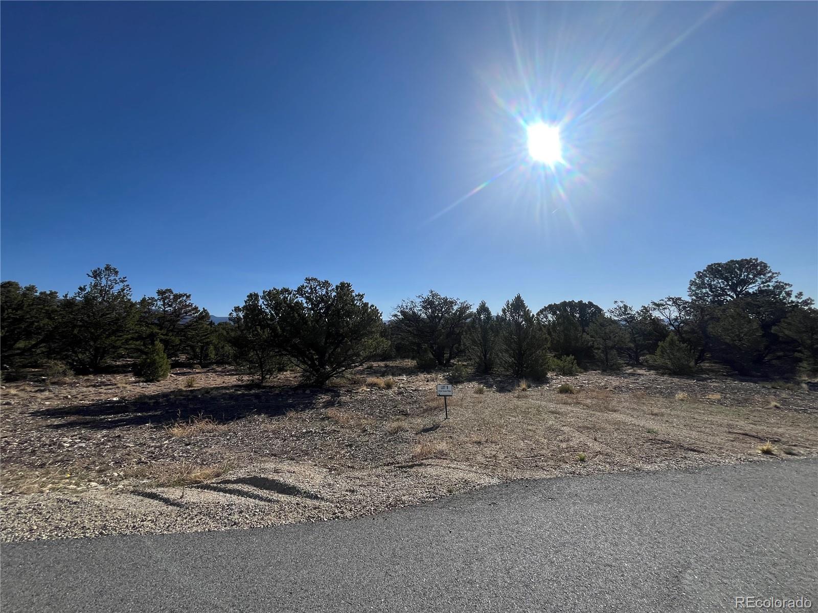 29262 Timber Ridge Buena Vista CO 81211