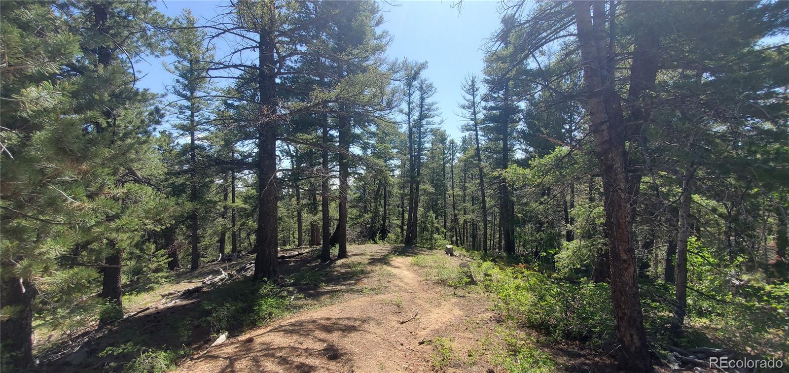 Lot 6764 Kerrigan Road Fort Garland CO 81133