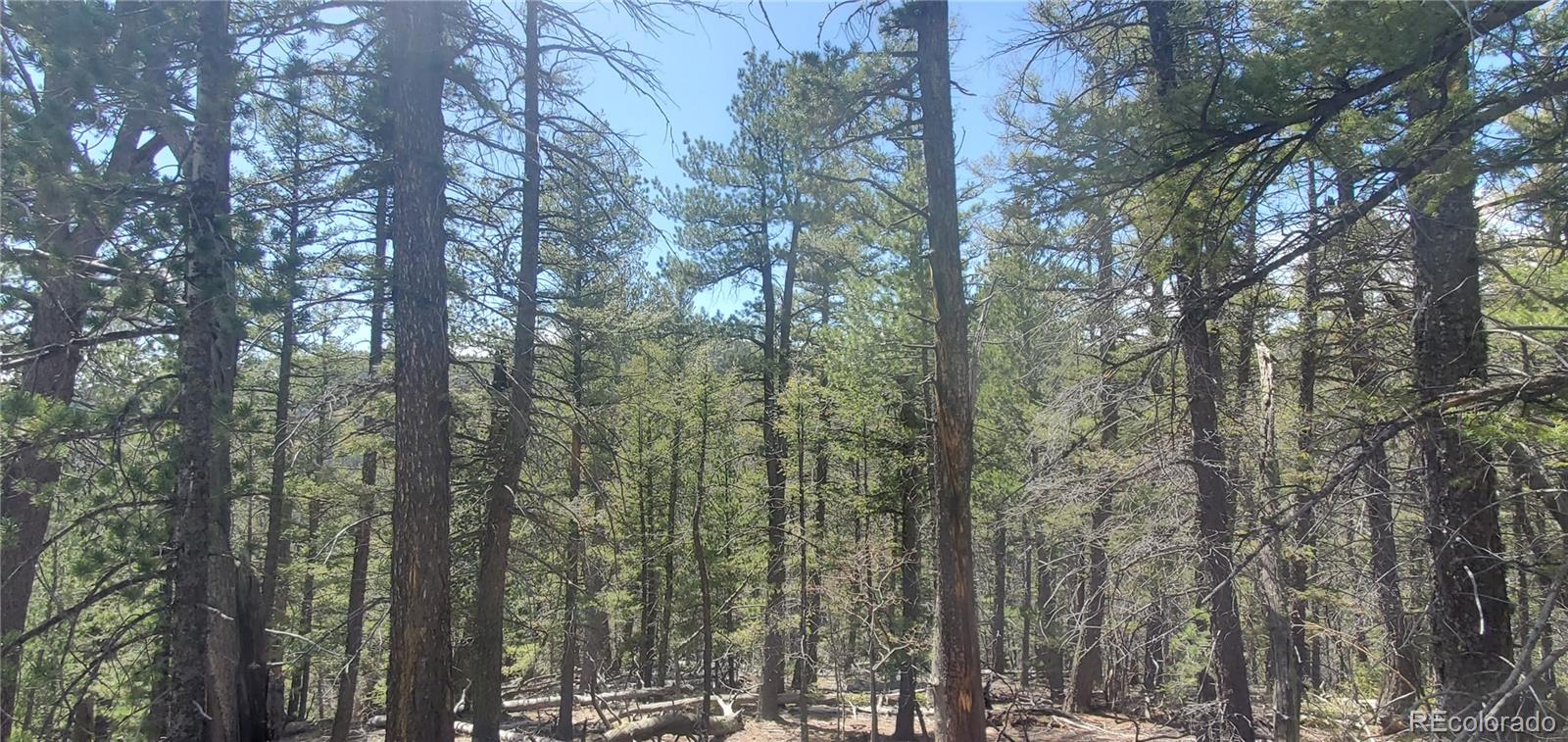 Lot 6764 Kerrigan Road Fort Garland CO 81133