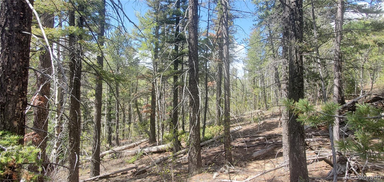 Lot 6764 Kerrigan Road Fort Garland CO 81133