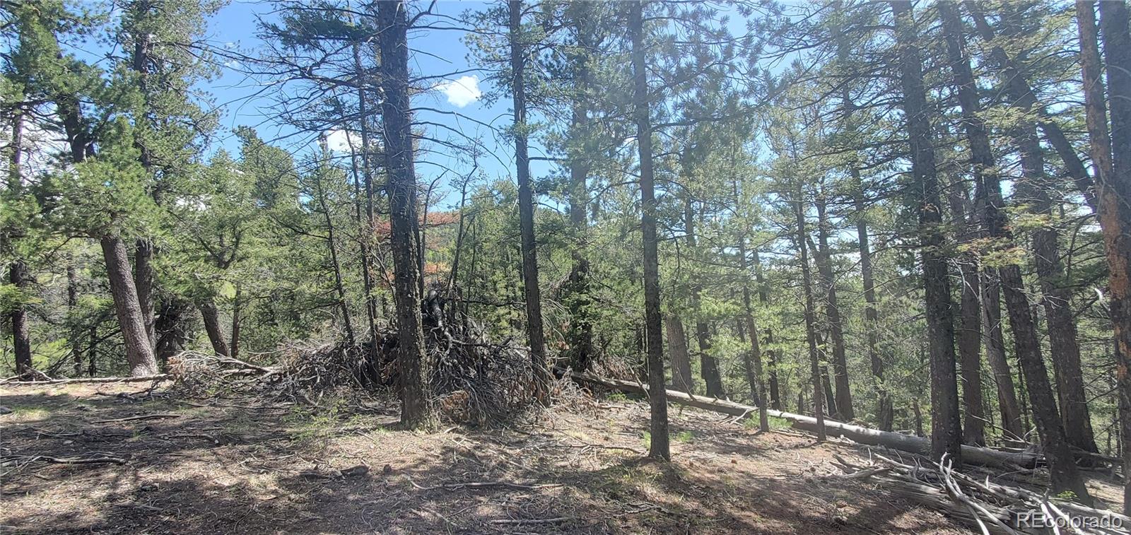 Lot 6764 Kerrigan Road Fort Garland CO 81133