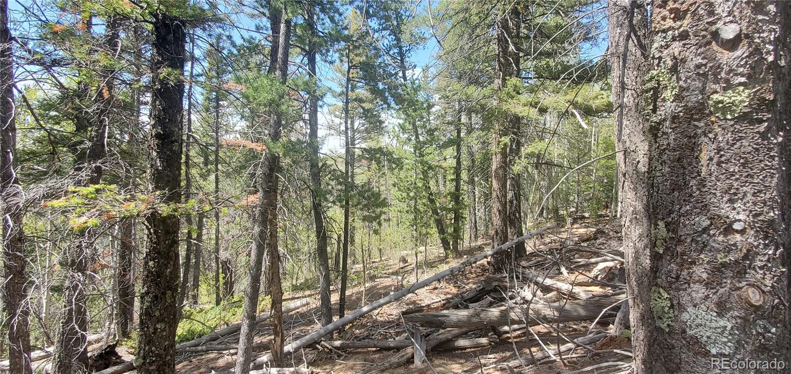 Lot 6764 Kerrigan Road Fort Garland CO 81133