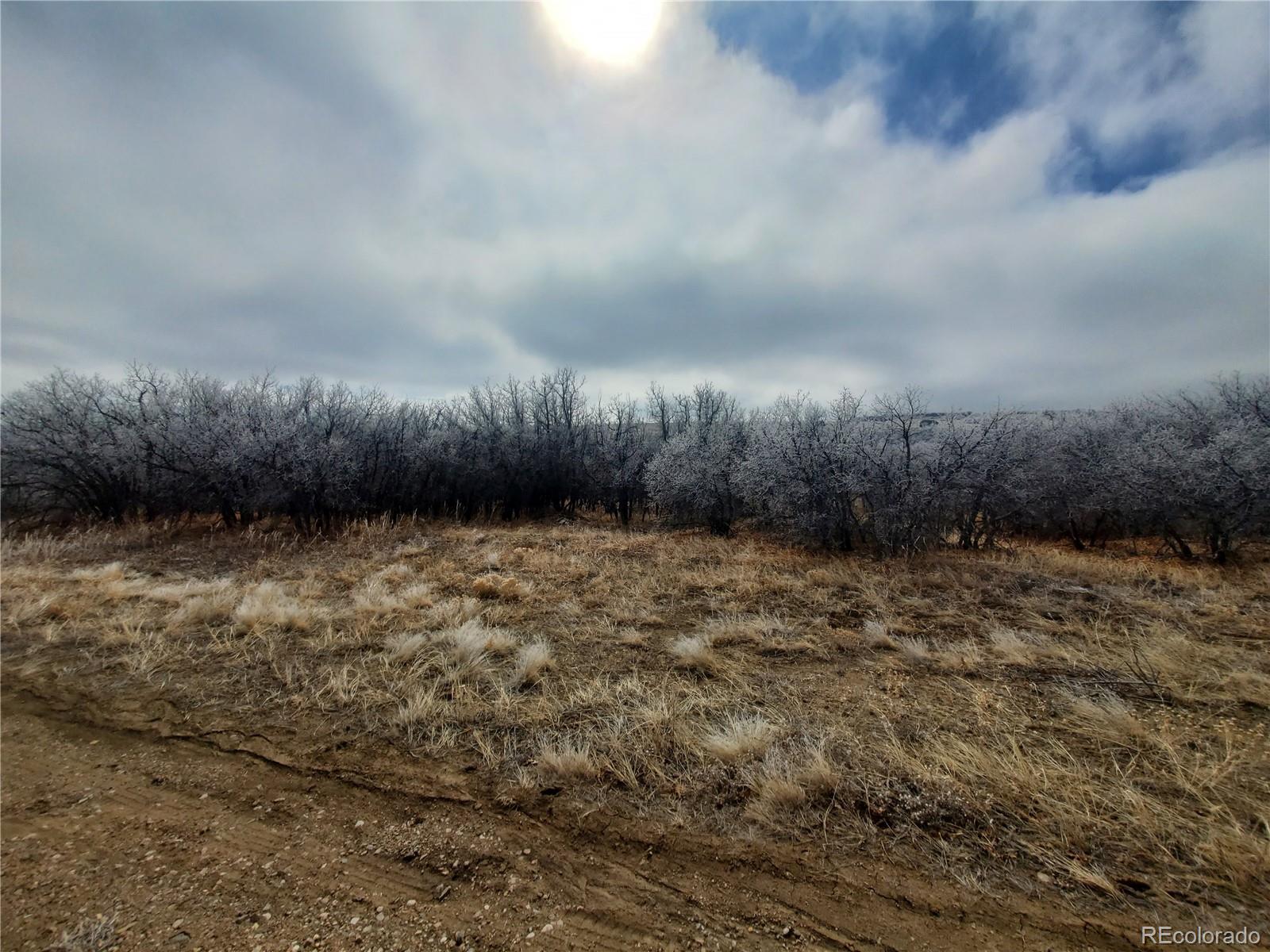 000 Thacker Road Colorado City CO 81069