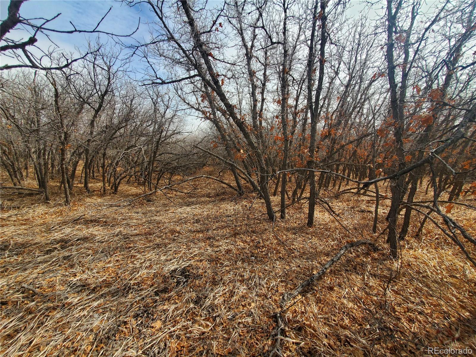 000 Thacker Road Colorado City CO 81069
