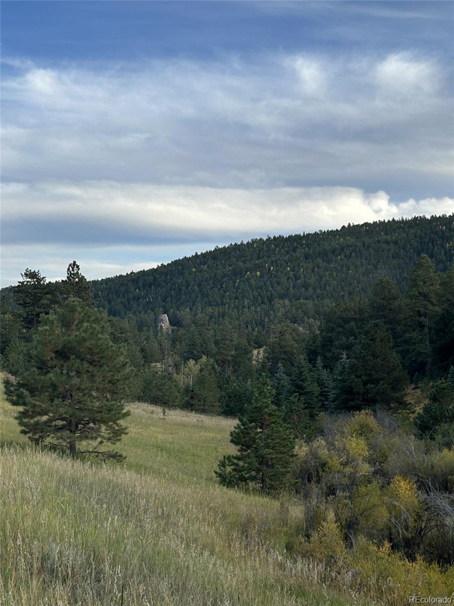 1342 Old Crystola Canyon Road Woodland Park CO 80863