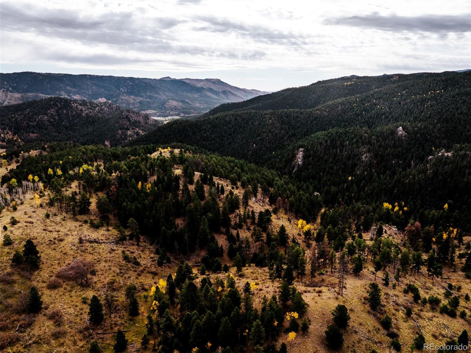 1342 Old Crystola Canyon Road Woodland Park CO 80863