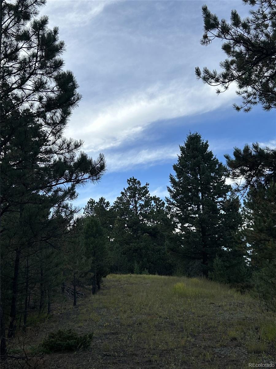 1342 Old Crystola Canyon Road Woodland Park CO 80863