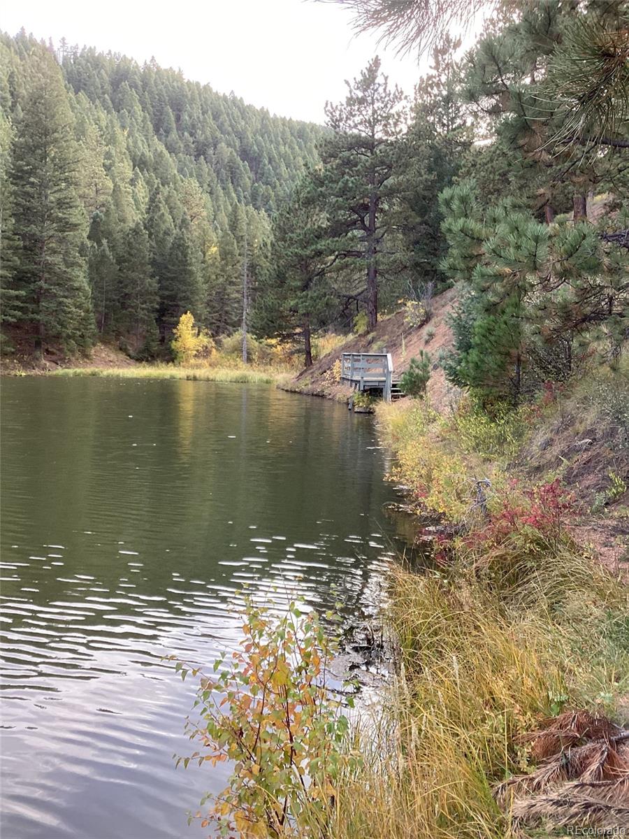 1342 Old Crystola Canyon Road Woodland Park CO 80863