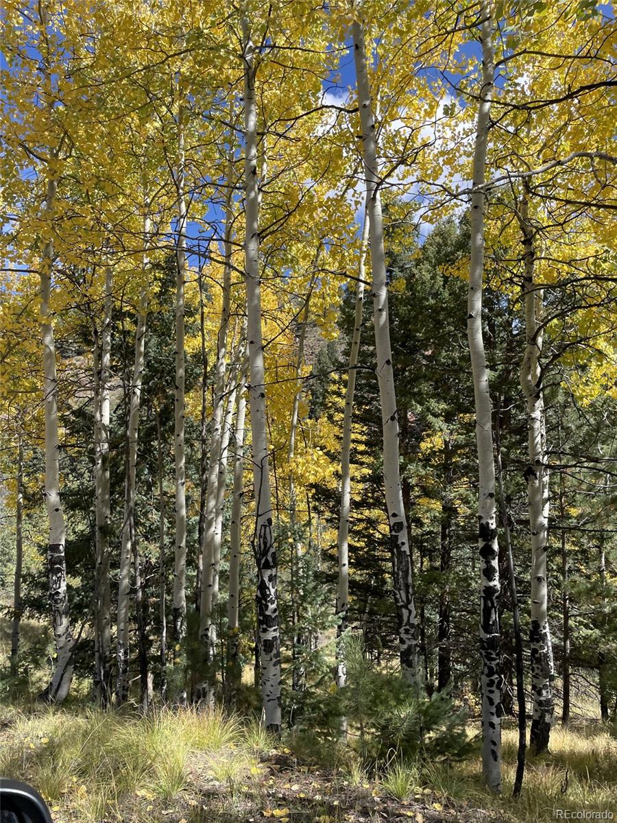1342 Old Crystola Canyon Road Woodland Park CO 80863