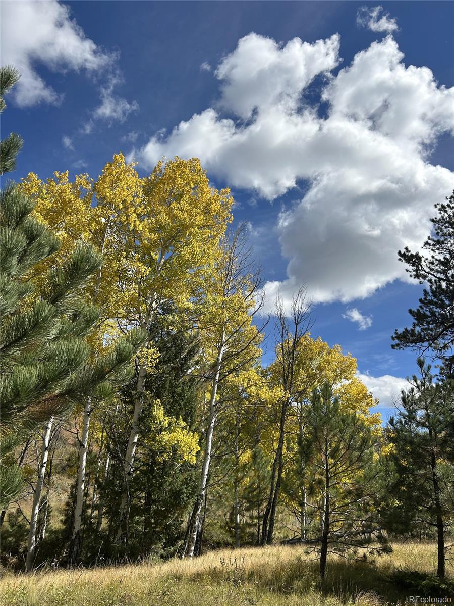 1342 Old Crystola Canyon Road Woodland Park CO 80863