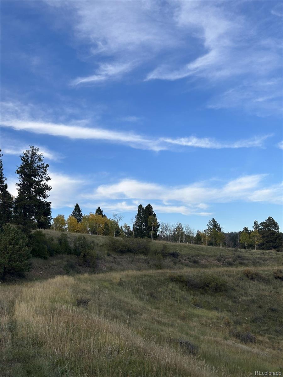 1342 Old Crystola Canyon Road Woodland Park CO 80863