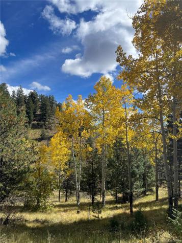1342 Old Crystola Canyon Road Woodland Park CO 80863