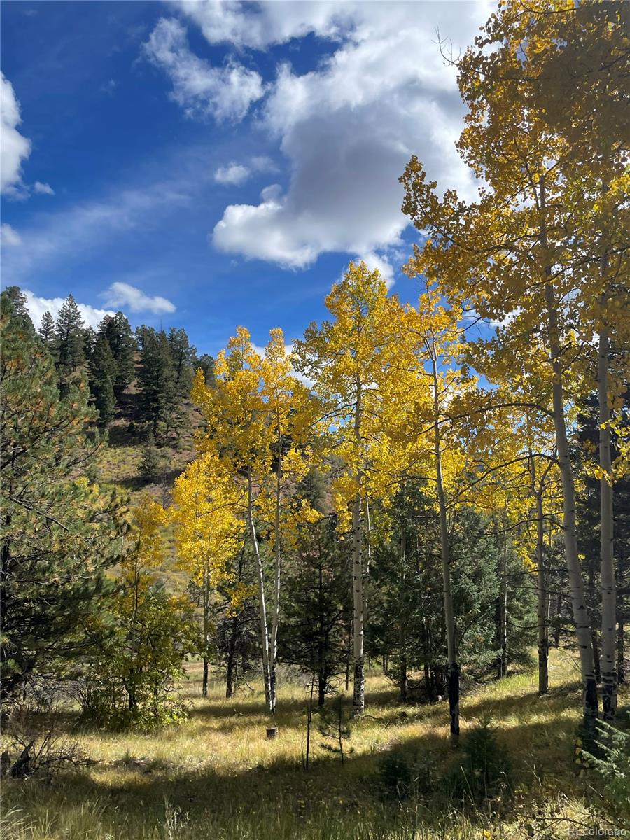 1342 Old Crystola Canyon Road Woodland Park CO 80863