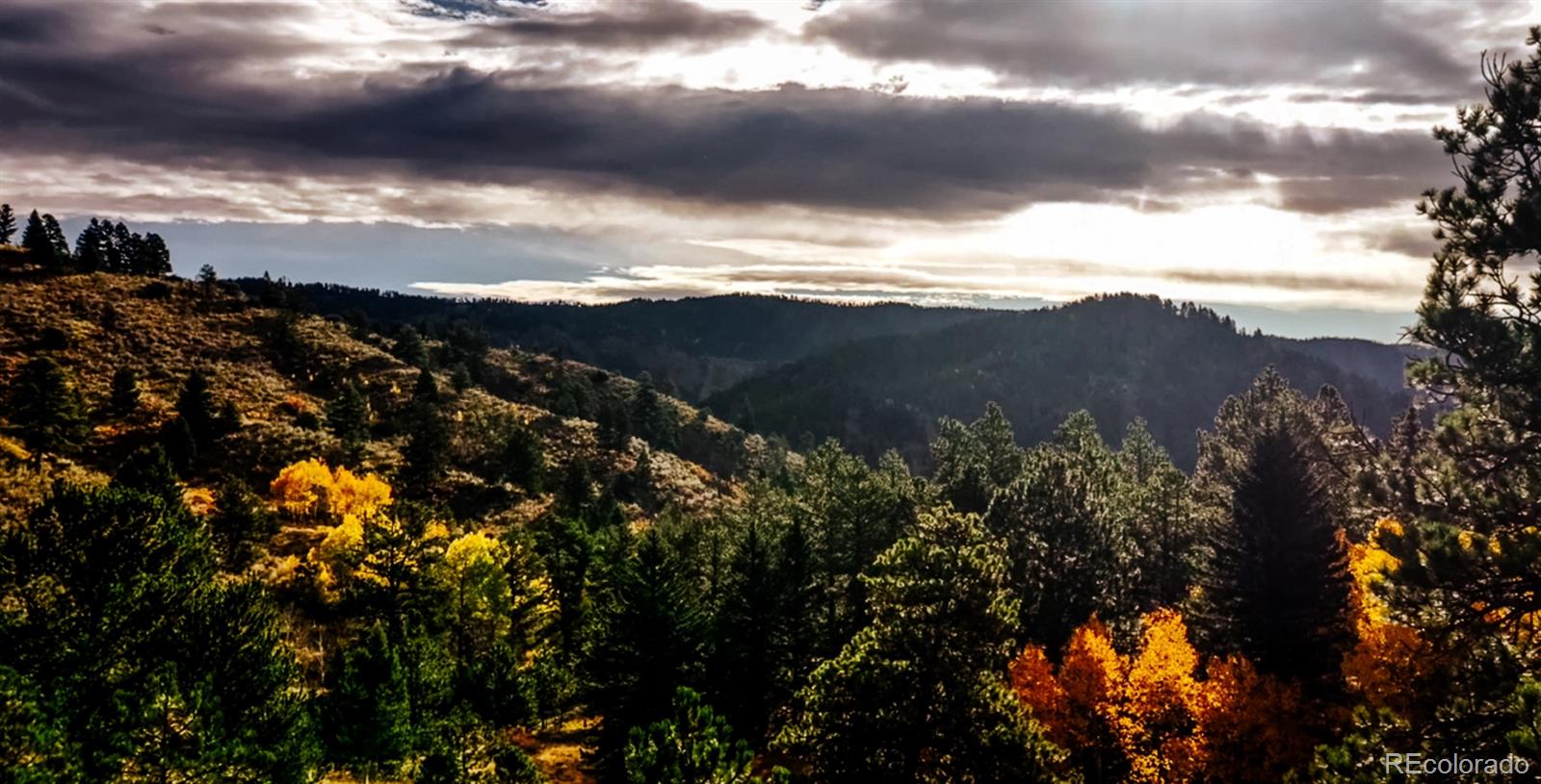 1342 Old Crystola Canyon Road Woodland Park CO 80863