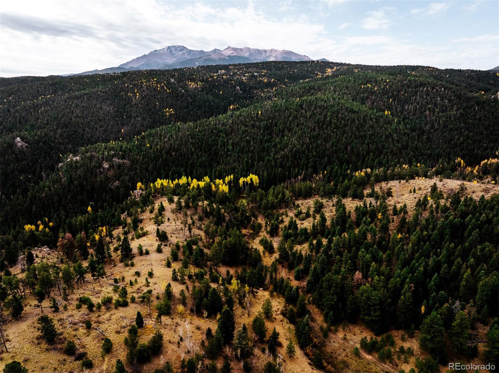 1342 Old Crystola Canyon Road Woodland Park CO 80863