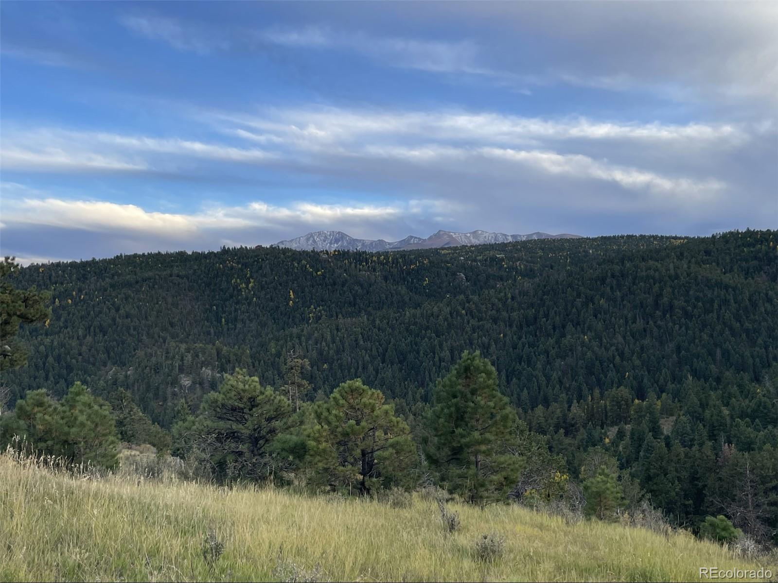 1342 Old Crystola Canyon Road Woodland Park CO 80863