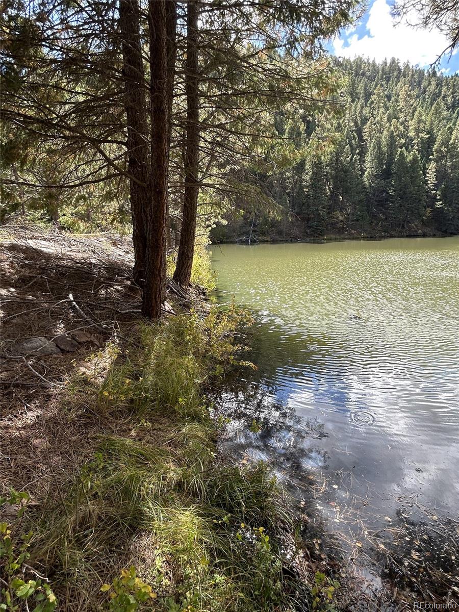 1342 Old Crystola Canyon Road Woodland Park CO 80863