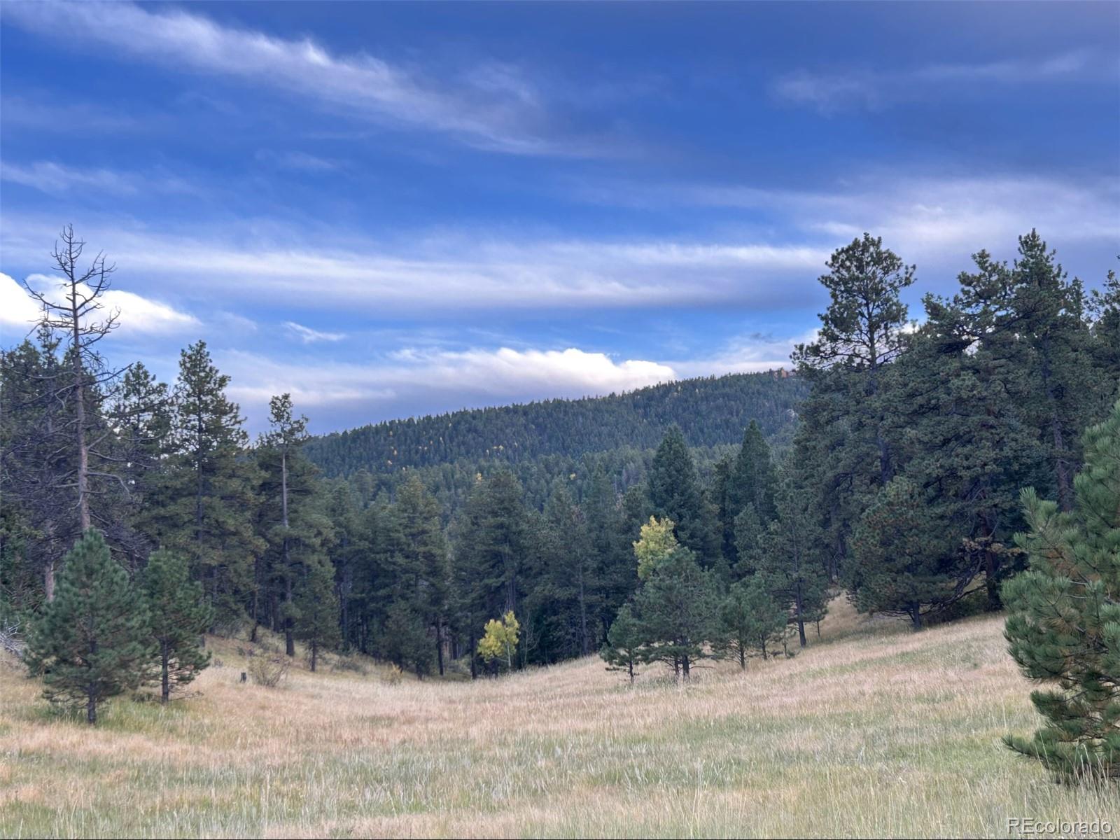 1342 Old Crystola Canyon Road Woodland Park CO 80863