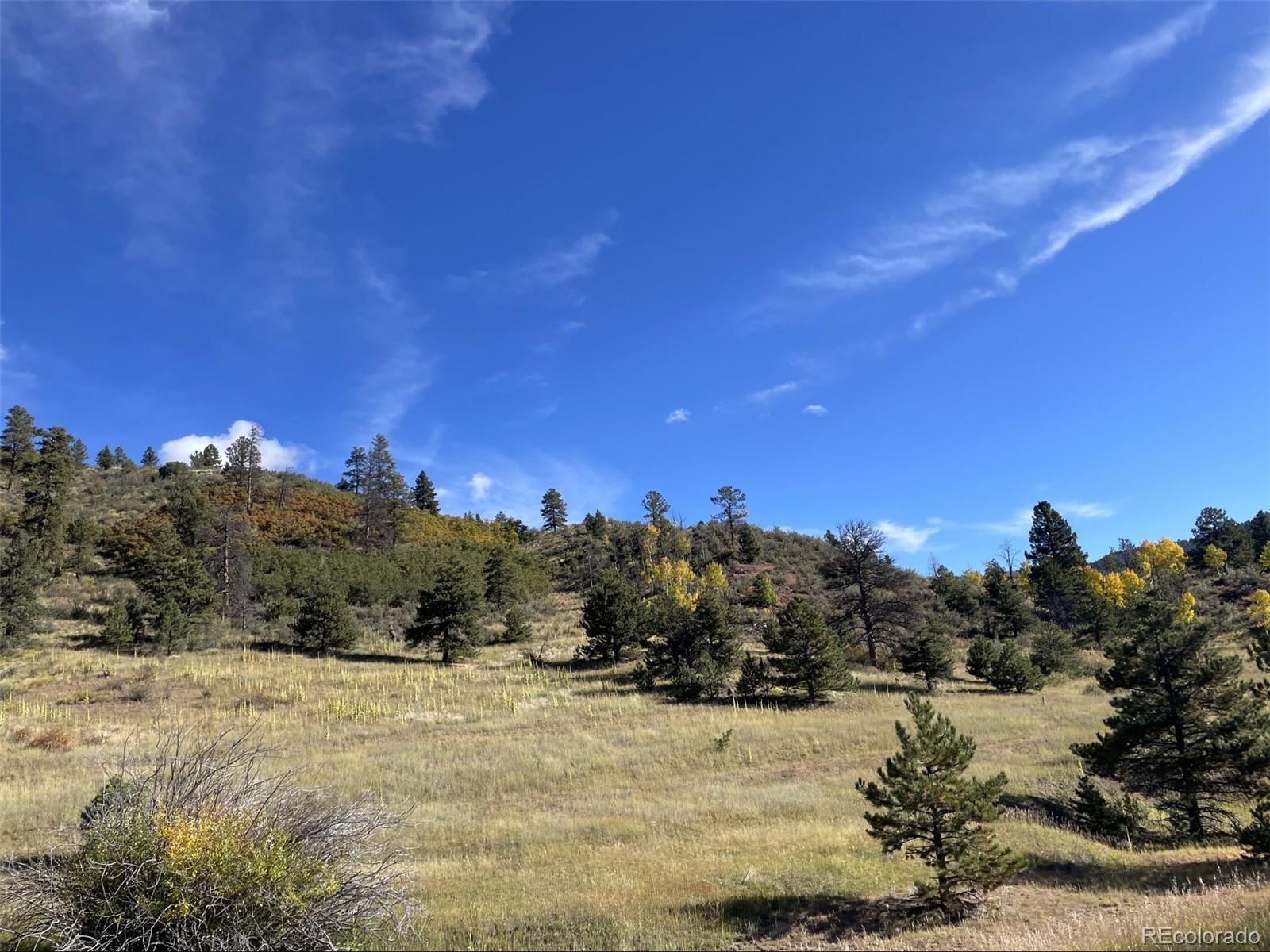 1342 Old Crystola Canyon Road Woodland Park CO 80863