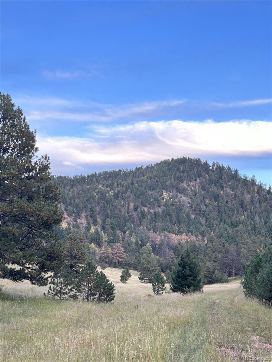 1342 Old Crystola Canyon Road Woodland Park CO 80863