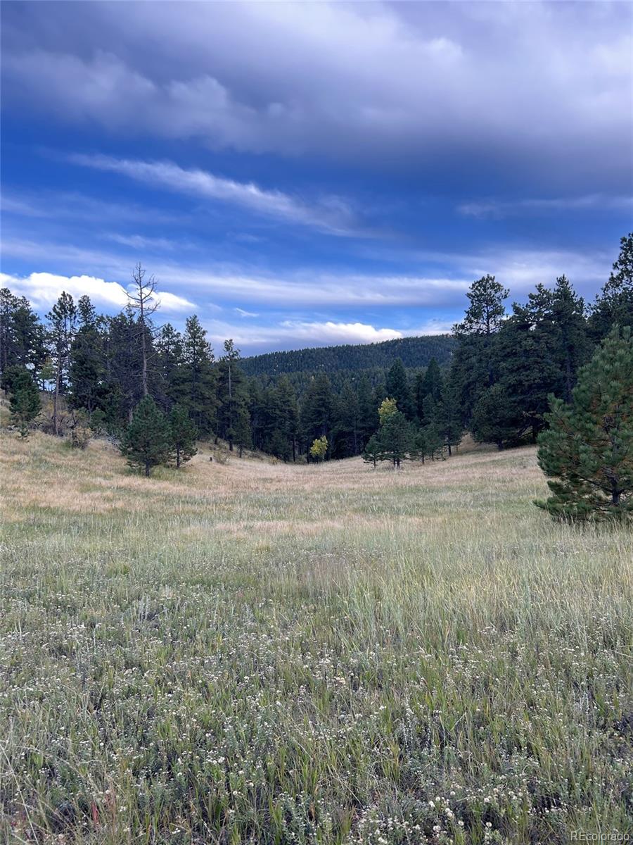 1342 Old Crystola Canyon Road Woodland Park CO 80863