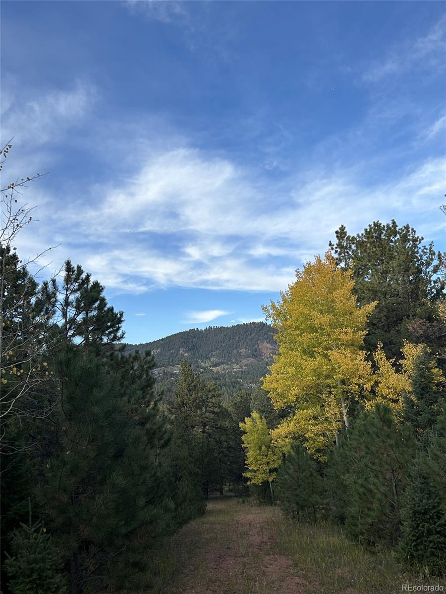 1342 Old Crystola Canyon Road Woodland Park CO 80863