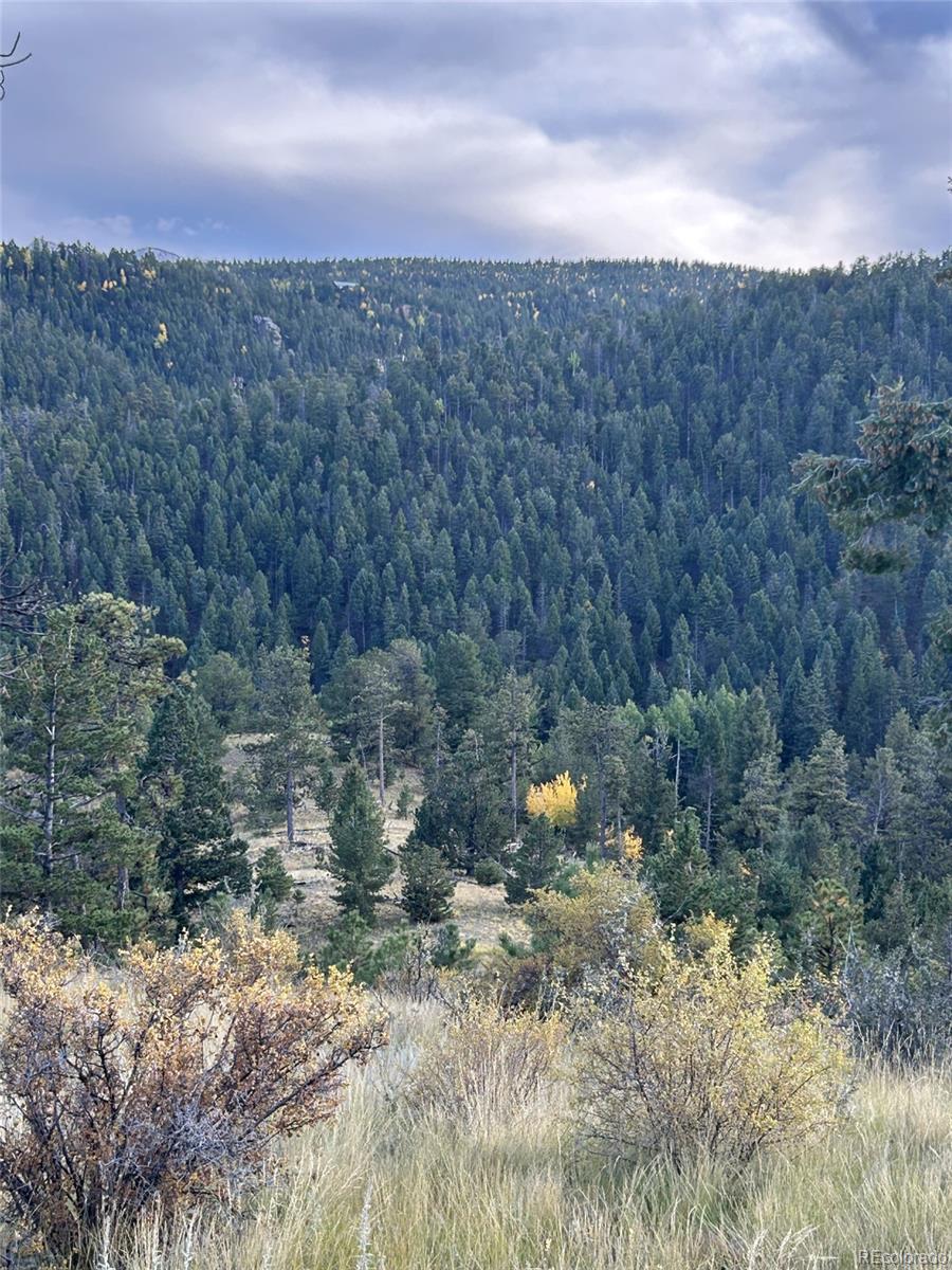 1342 Old Crystola Canyon Road Woodland Park CO 80863
