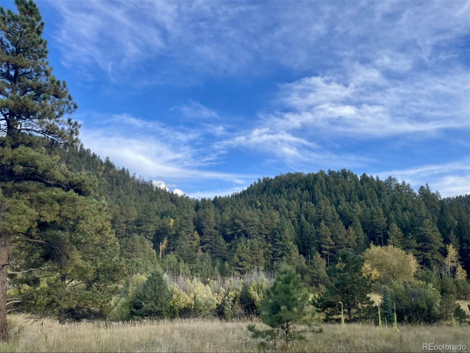 1342 Old Crystola Canyon Road Woodland Park CO 80863